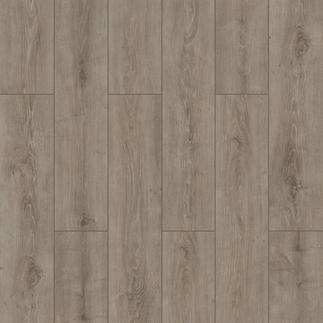Stepclick wings Parrot oak V groove 8mm laminate flooring AC5