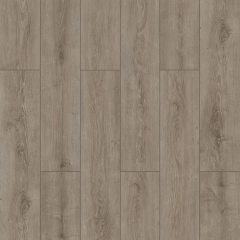 Stepclick wings Parrot oak V groove 8mm laminate flooring AC5