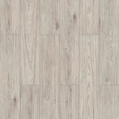 Stepclick wings Eagle oak V groove 8mm laminate flooring AC5